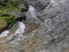 -龙颈河漂流