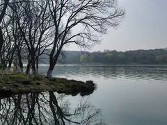 -郭庄景区