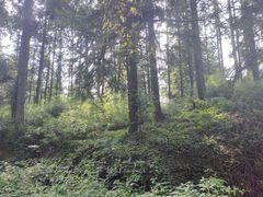 -山王坪喀斯特国家生态公园