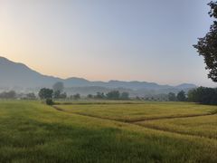 -黟县屏山村