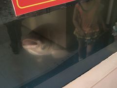 -渝味堂(彩云城店)