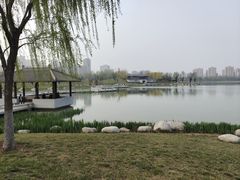 -西安世博园