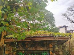-汇雅温泉