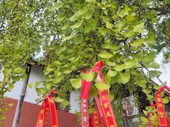 -金堂县云顶石城风景区
