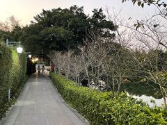-御霞苑泥烩鸡休闲农庄