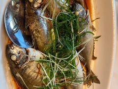 -阳江餐厅·30年老字号·粤菜海鲜大排档