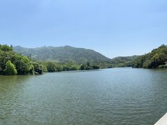 -深圳仙湖植物园