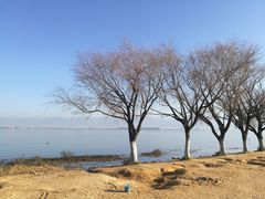 -西昌邛海湾柏樾酒店(原邛海湾柏栎度假酒店)