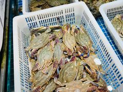-新农都水产市场