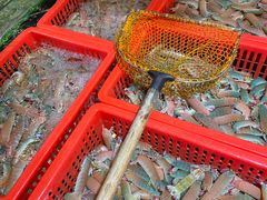 -79号渔船海鲜饭店(华强北店)