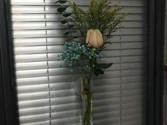 -绿房子心理咨询