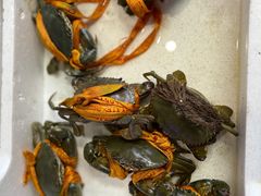 -面道赞宁海海鲜面(迎凤街店)