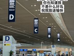 -青岛胶东国际机场