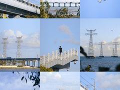 -宝安西湾红树林湿地公园