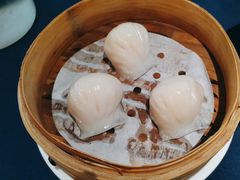 维园虾饺皇-维园悦谱·海派家常菜(乌鲁木齐南路店)