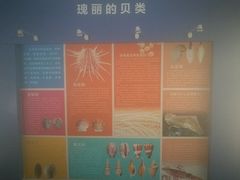 -上海海洋大学鱼文化博物馆(军工路校区)