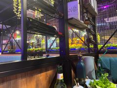 -杨记齐齐哈尔烤肉(五莲路店)