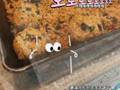 -丁丁&当当牦牛酸奶·酥油面包(官门口店)
