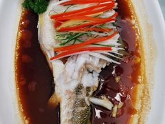 -小贝壳酒楼(经九路店)