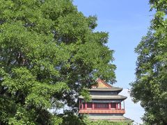 -清真·鸦儿李记·小馆(后海店)