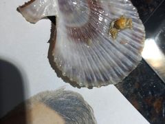 -阪尚皇·原切牛排·烤肉火锅自助(北京路店)