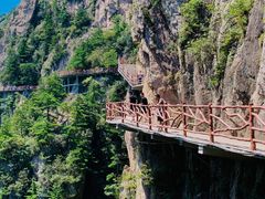 -老君山风景名胜区