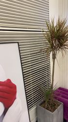 点击看大图 -3AM HAIR SALON染发烫发接发