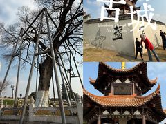 -观潮胜地公园