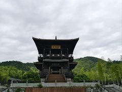 -大唐贡茶院