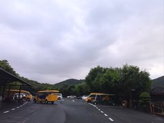 -三亚亚龙湾人间天堂鸟巢度假村