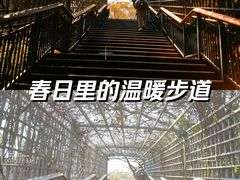 -金鸡山公园