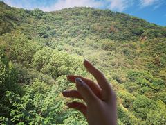 -杭州半山国家森林公园