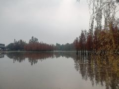 -白鹭湾湿地公园