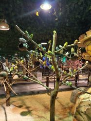 -酷嗒动物文化乐园(cutezoo西溪乐天城店)