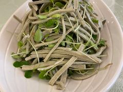 香椿苗拌豆腐丝-博雅渔港·融合菜(维也纳国际大酒店)