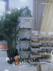 -寇氏拔罐减肥