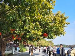 -海珠湖公园