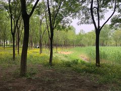 -东郊湿地公园