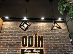 -ODIN 奥丁形象设计 