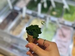 -鹤茶野所(上海首店)