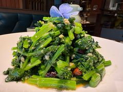 炝拌板蓝根-青海名吃尕张娃非遗烤肉(海湖总店)