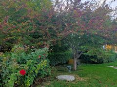 -廊坊文化艺术中心