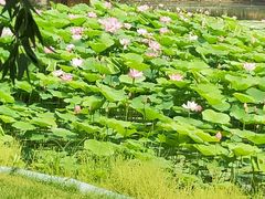 -云居湖