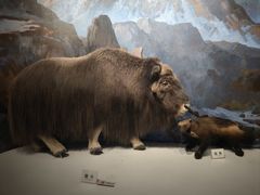 -陕西自然博物馆