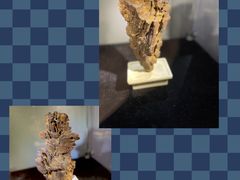-徐汇艺术馆