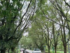 -九曲溪竹筏码头