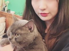 -李小姐の猫咖啡馆(五角场店)