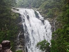 -海南热带雨林国家公园吊罗山景区