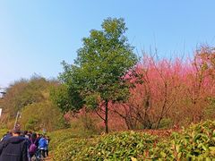 -贵阳市花溪国家城市湿地公园