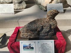 -延庆地质公园博物馆